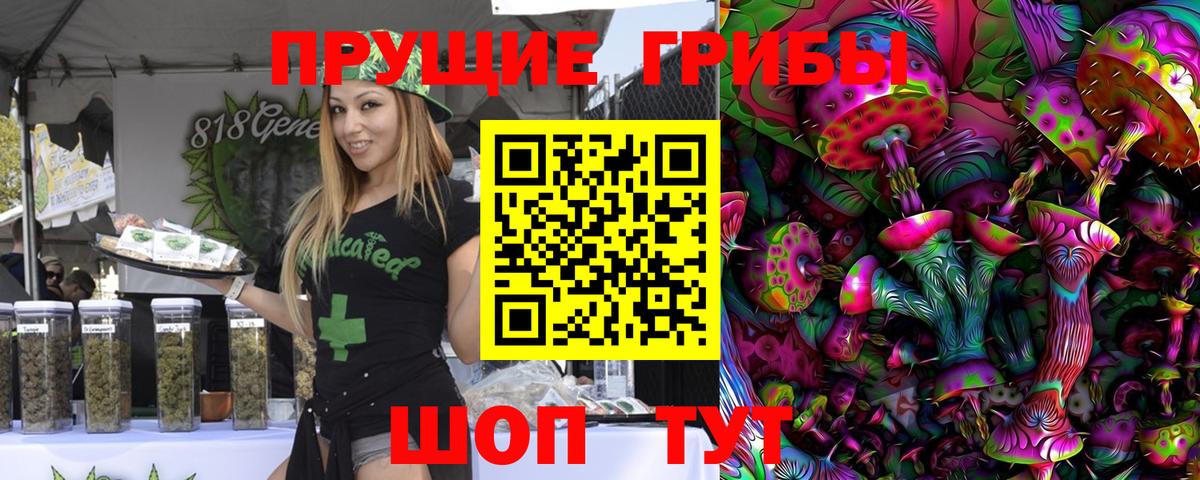 закладка  Псилоцибиновые грибы прущие грибы  Вход с VPN  Ревда 